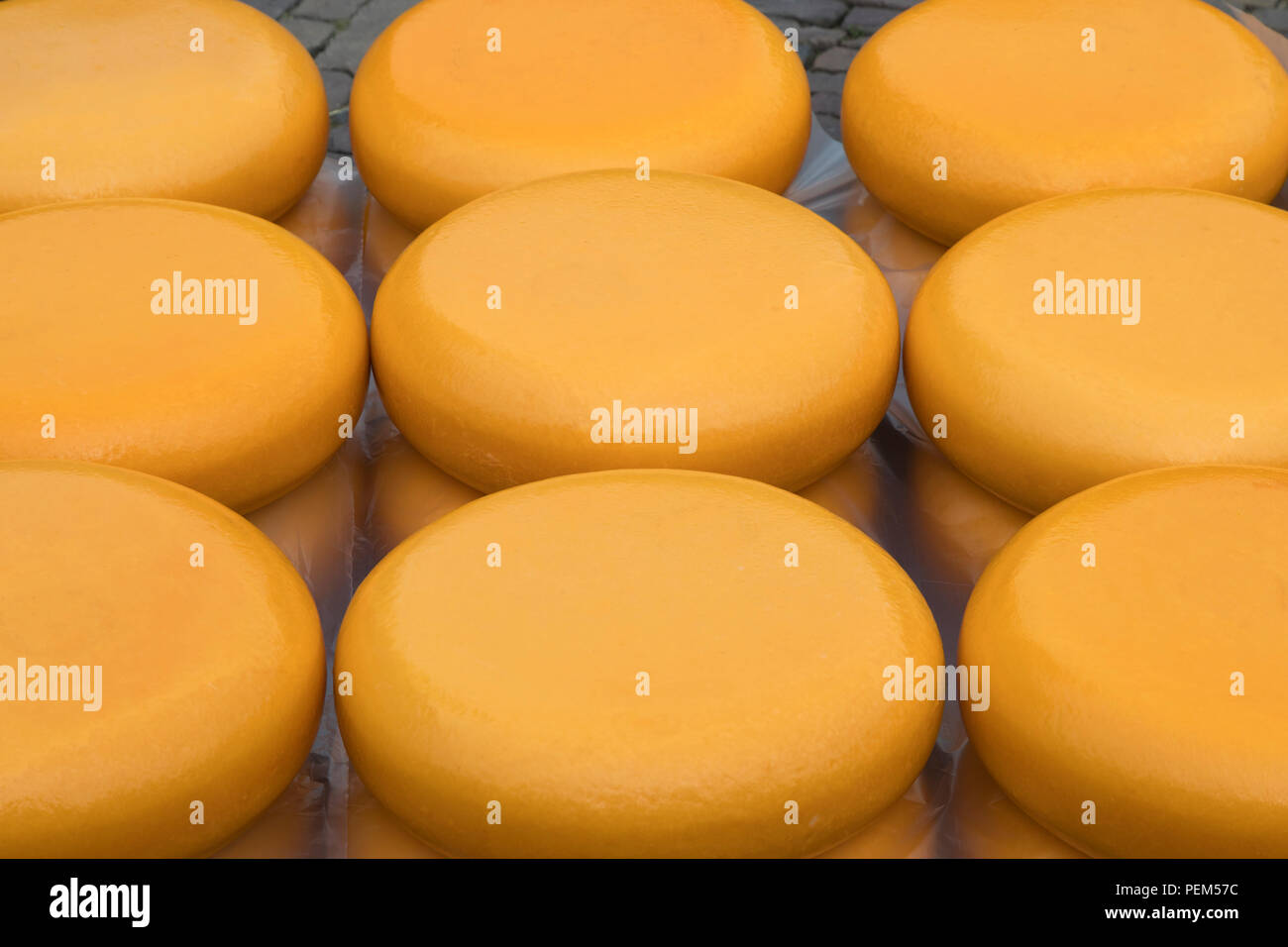 Ganz gelb Holländischen Käse für den Verkauf auf dem Käsemarkt Stockfoto