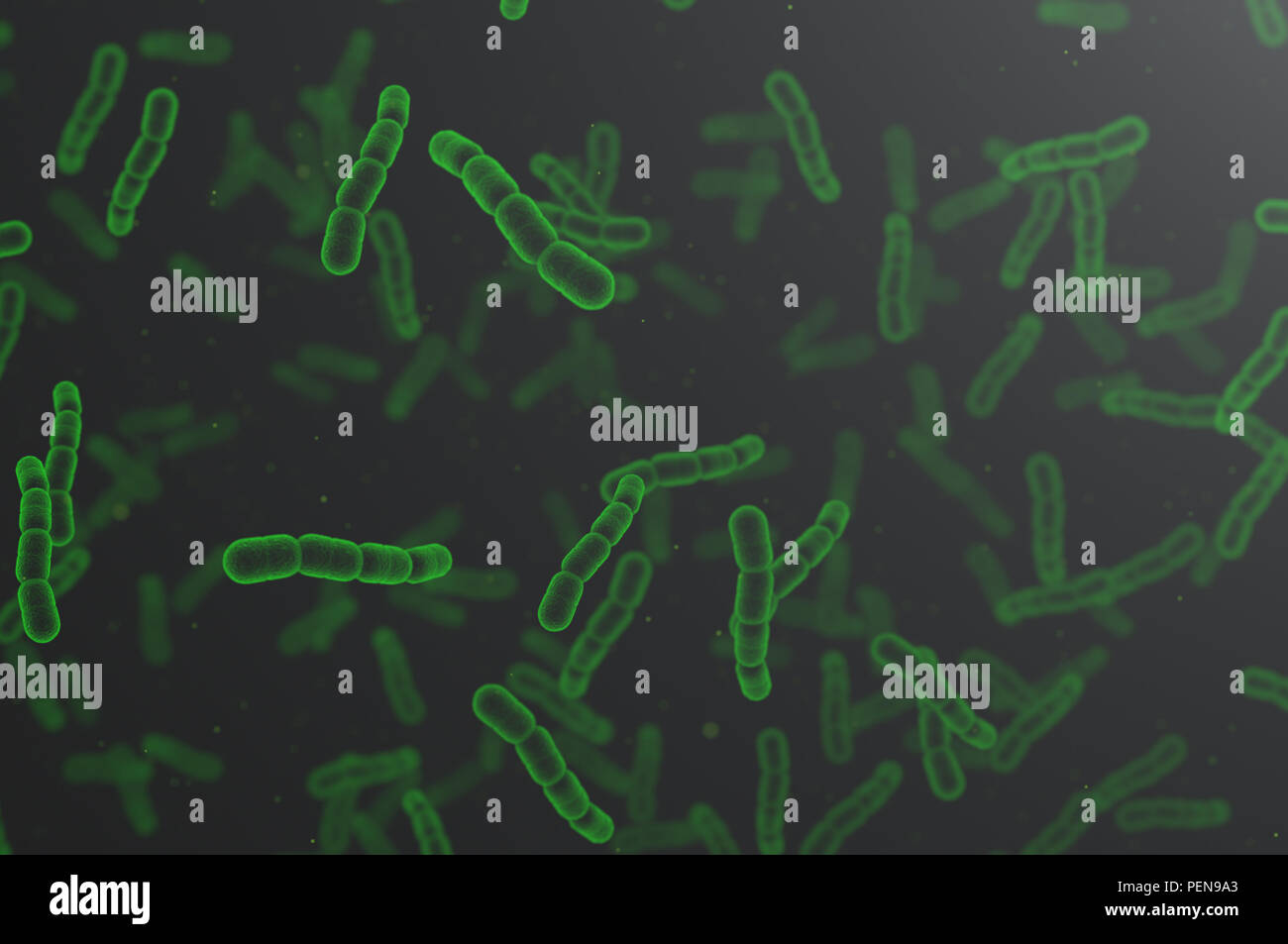 Streptococcus pneumoniae, grüne Zellen. Stockfoto
