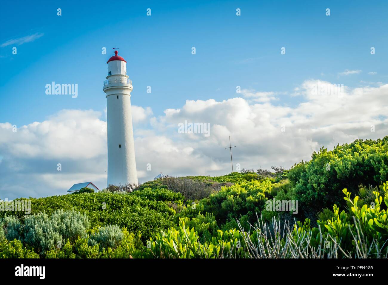 Cape Nelson Leuchtturm in Victoria, Australien, im Sommer Stockfoto