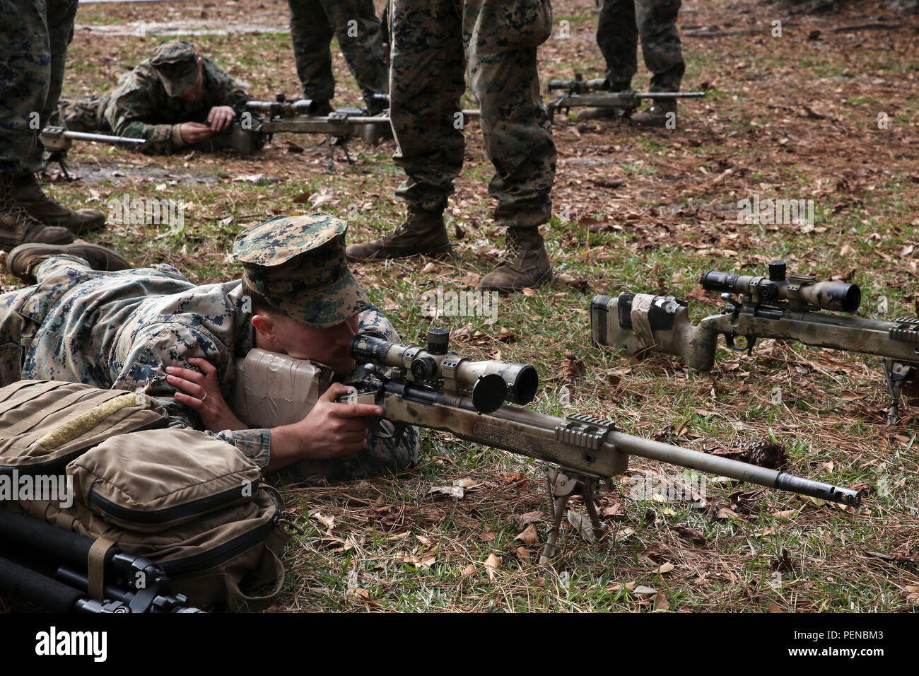 ein-marine-sch-ler-in-der-2-marine-division-combat-skills-center-pre-scout-sniper-kurs-sehensw-rdigkeiten-in-auf-ein-ziel-mit-m40-a5-sniper-rifle-in-camp-lejeune-n-c-jan-12-2016-die