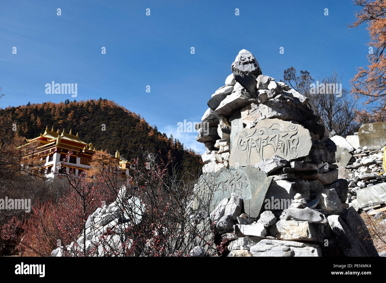 Tempel, Chonggu Yading Nationalpark, Daocheng, Sichuan, China Stockfoto
