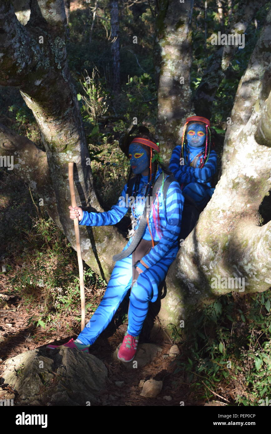 Zwei junge Avatar Mädchen und Keytiri Feytiri am Mt. Ulap und Roaming innerhalb der dichten Kiefernwald am Ampucao Sta. Fe Grate. Stockfoto