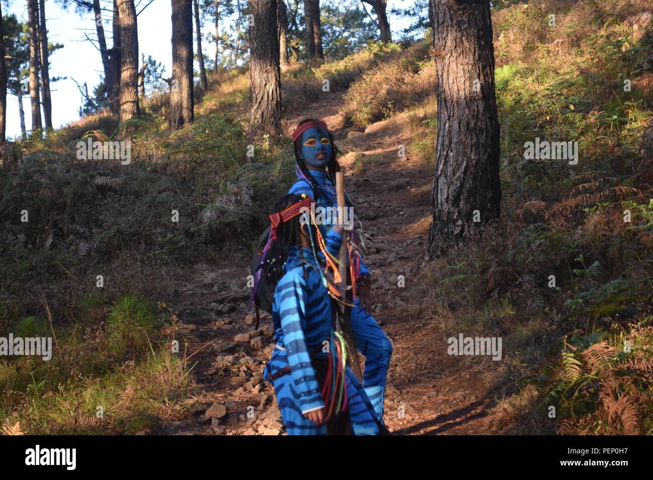 Zwei junge Avatar Mädchen und Keytiri Feytiri am Mt. Ulap und Roaming innerhalb der dichten Kiefernwald am Ampucao Sta. Fe Grate. Stockfoto