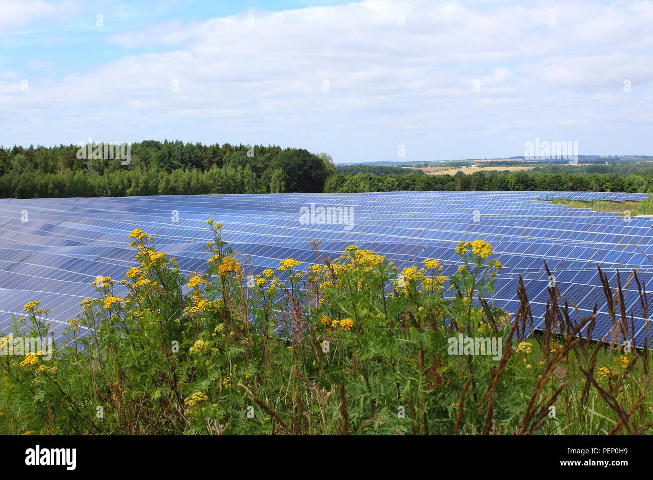 Solar-Panels von einer Photovoltaik-Anlage Stockfoto