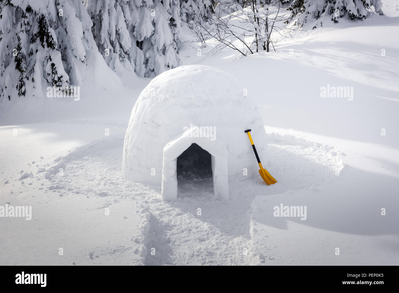 Echten schneeiglu Haus im Winter Karpaten Stockfoto
