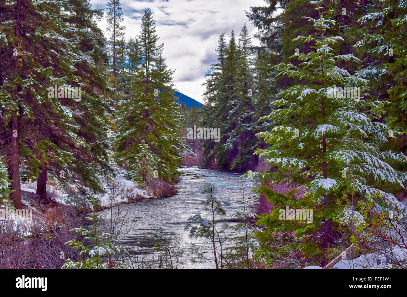 Metolius Fluss im Winter in der Nähe der Schwestern Oregon Stockfoto