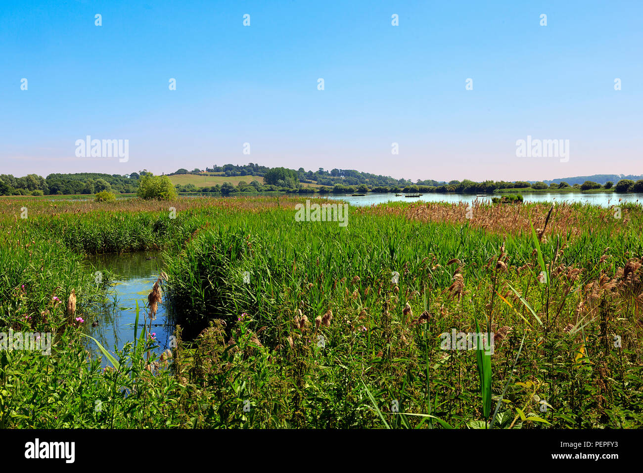 Rutland Wasser Naturschutzgebiet Stockfoto