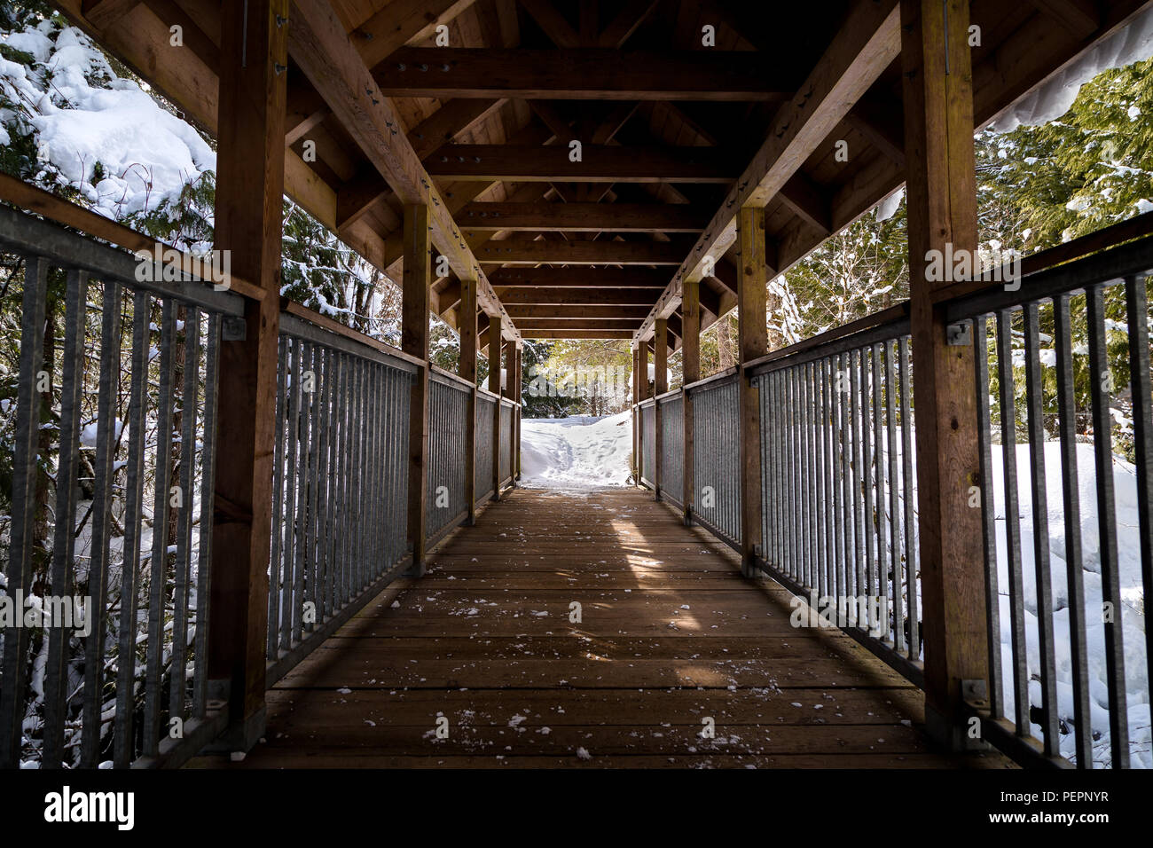 Überdachte Holzbrücke bei Brandywine Falls Provincial Park. Stockfoto