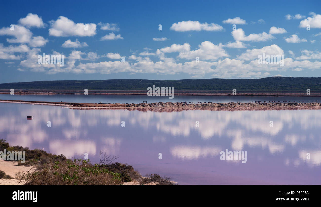 Reflexion an Rosa See, rosa Lagune bei Port Gregory, West Australia, Australien, Ozeanien Stockfoto