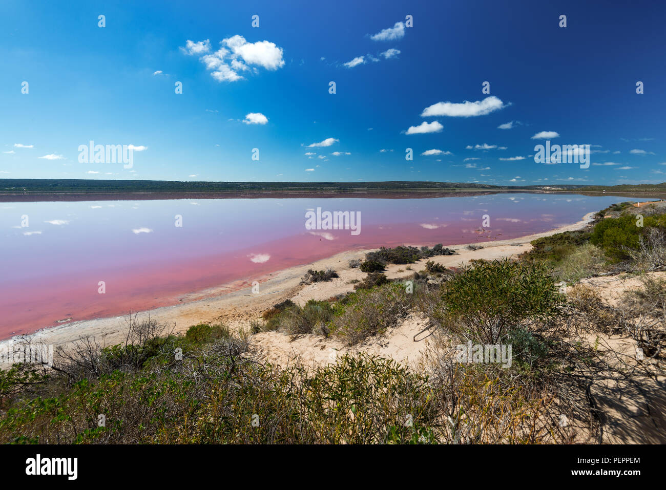 Reflexion an Rosa See, rosa Lagune bei Port Gregory, West Australia, Australien, Ozeanien Stockfoto