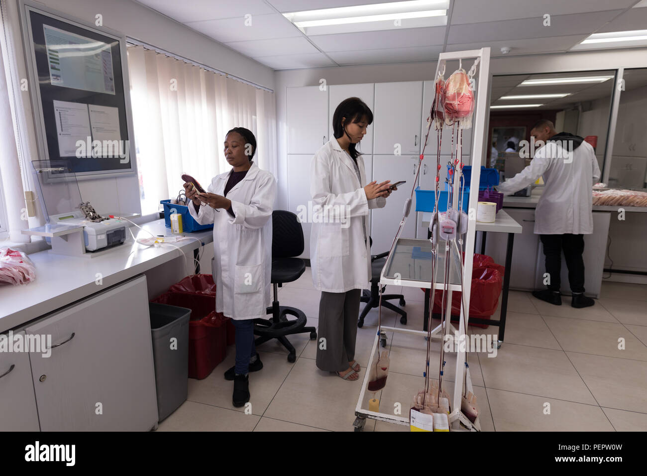 Laboranten im Blut Bank arbeiten Stockfoto