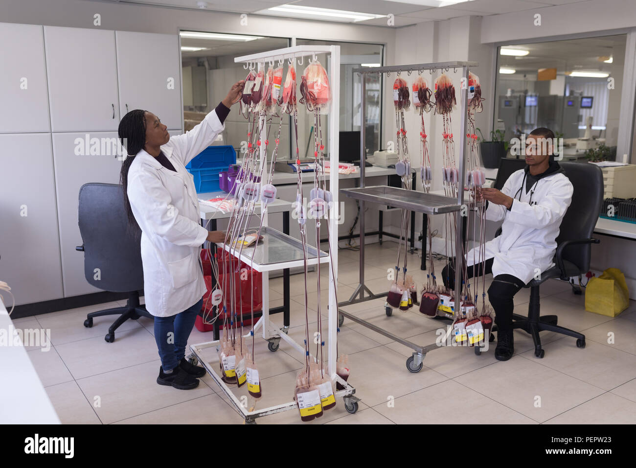 Laboranten analysieren Blutbeutel Stockfoto