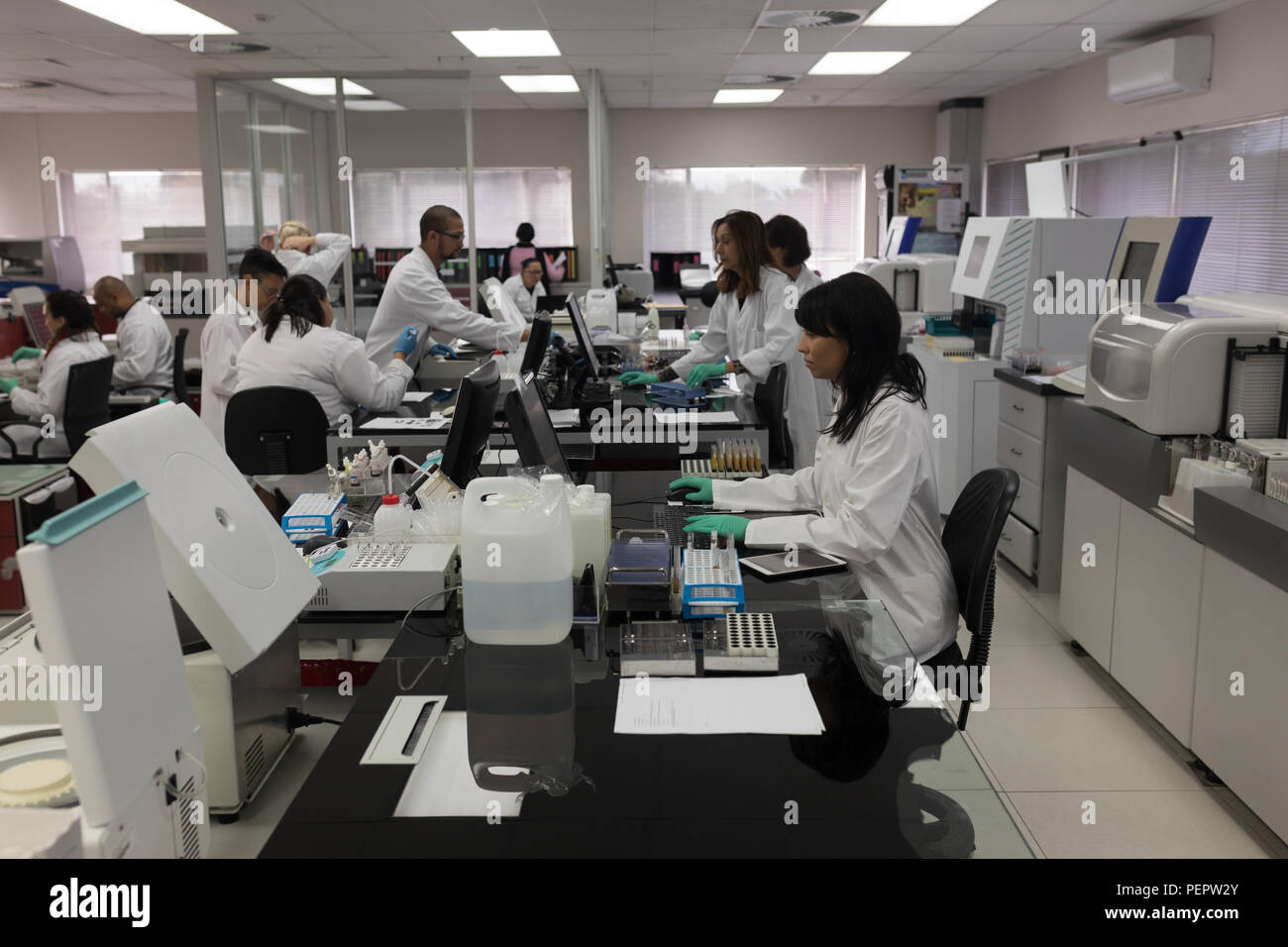Team von Laboranten im Blut Bank arbeiten Stockfoto