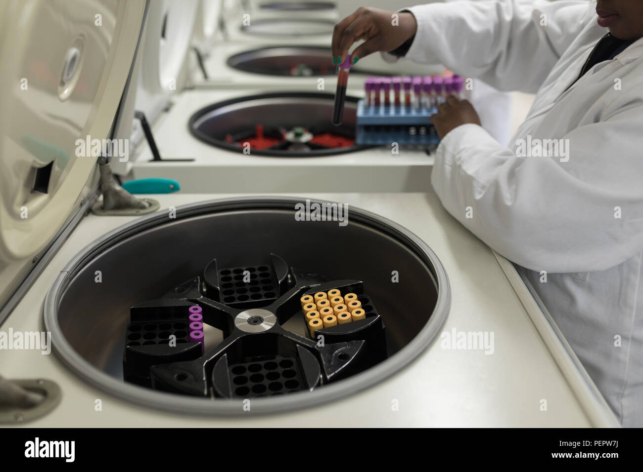 Labortechniker Inverkehrbringen Reagenzglas in Maschine Stockfoto