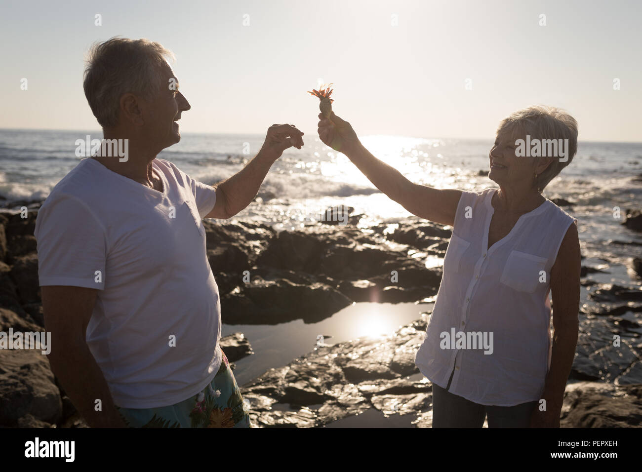 Senior Paar spielen mit Vogel in der Nähe von Meer 4 k Stockfoto