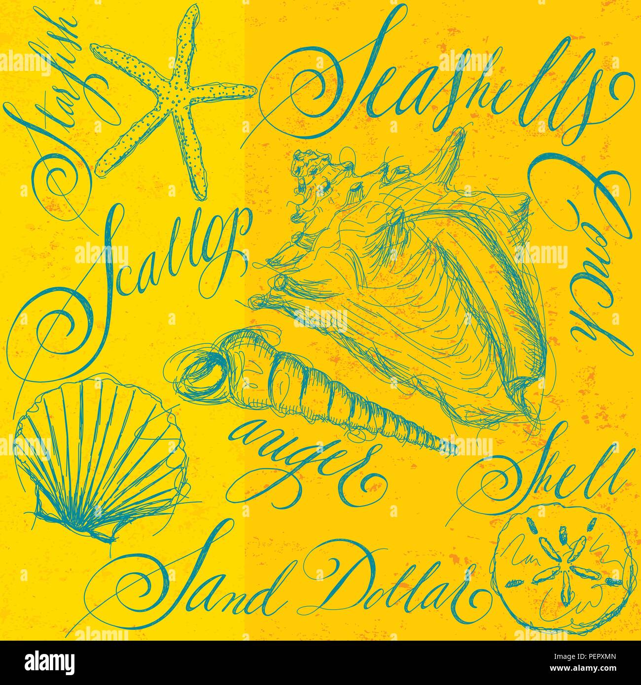 Muscheln mit Kalligraphie. Sketchy, hand Muscheln mit seashell Namen in Kalligraphie gezeichnet. Stock Vektor