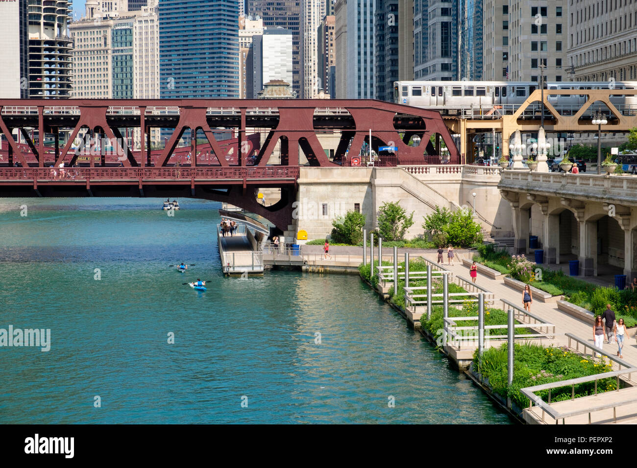 Chicago River, den Riverwalk, Kajaks, die Hochbahn und die umliegende Downtown Architektur im Sommer, Chicago, Illinois, USA Stockfoto
