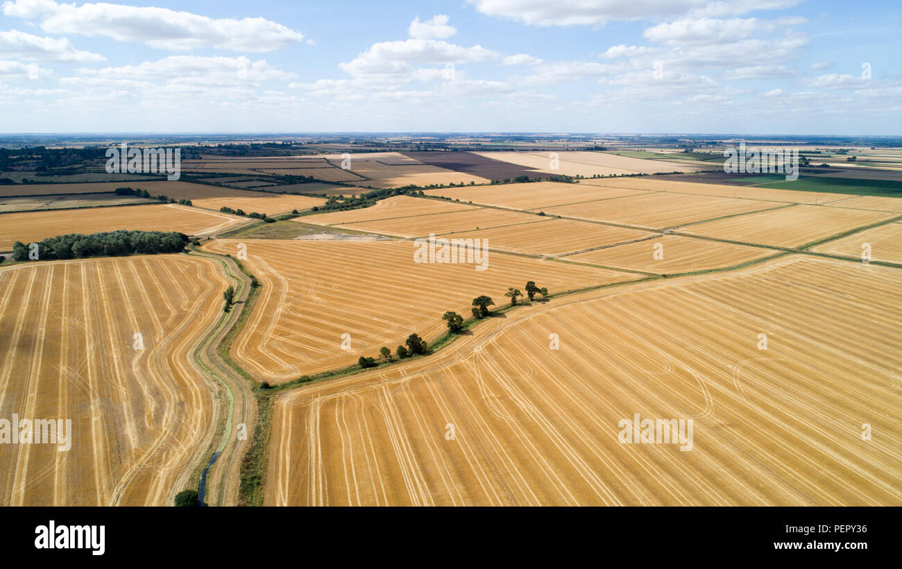 Die ausgetrockneten Felder in der Nähe von Ely, Cambs, am Mittwoch, den 1. August 2108 Nach der Hitzewelle in diesem Sommer. Heute sind die Landwirte, die eine Dürre Gipfel mit der Regierung. Die National Farmers' Union (NFU) werden Beamte in London treffen heute (Mi) zu diskutieren, "pulverfass"-Bedingungen, die Gras Wachstum verringert haben und abgereichertem" einige Erträge. NFU Präsident Minette zerschlägt sagte, sie wird versuchen, auf Umwelt Sekretär Michael Gove, an der "äußerst wichtig" spricht die Herausforderungen Landwirte konfrontiert sind nach dem schweren Mangel an Regen zu beeindrucken. Stockfoto