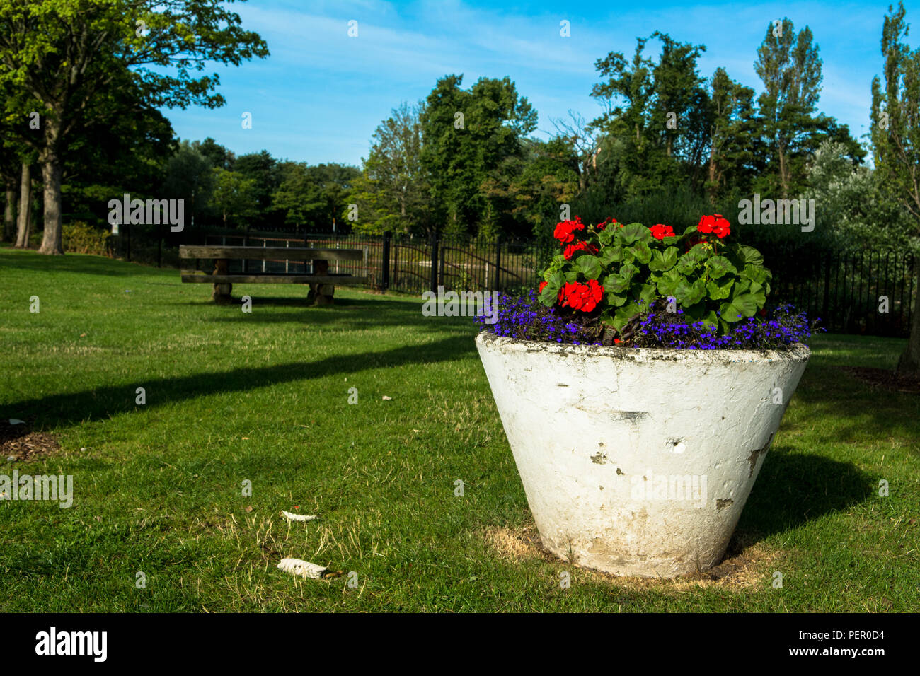 Wilde Blumen Victoria Park Connswater Community Greenway Osten Belfast Stockfoto