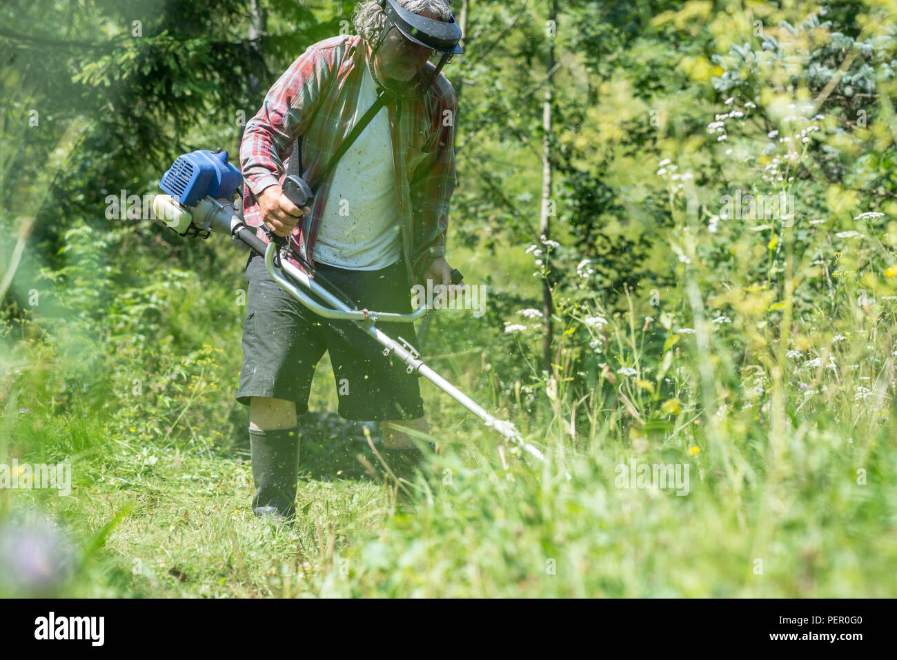 Blick durch hohes Gras von einem Mann mit schützende Kopfbedeckung und Schutzbrille schneiden den Rasen mit Weed Eater. Stockfoto