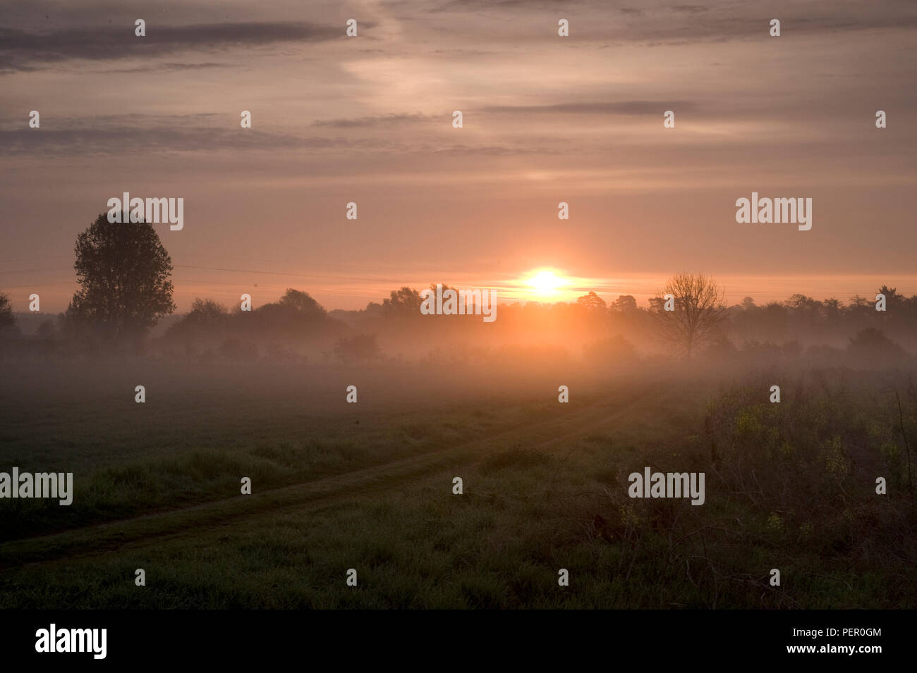 Sonnenaufgang über Felder in Oxfordshire, UK Stockfoto