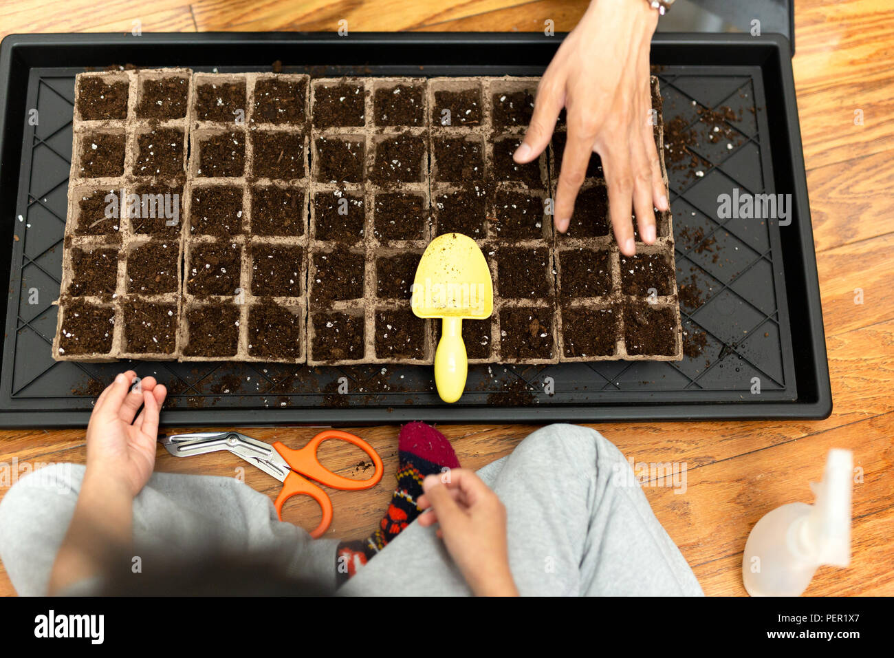 Kind Samen mit Vater in fruchtbarem Boden in Keimung Fach. Stockfoto