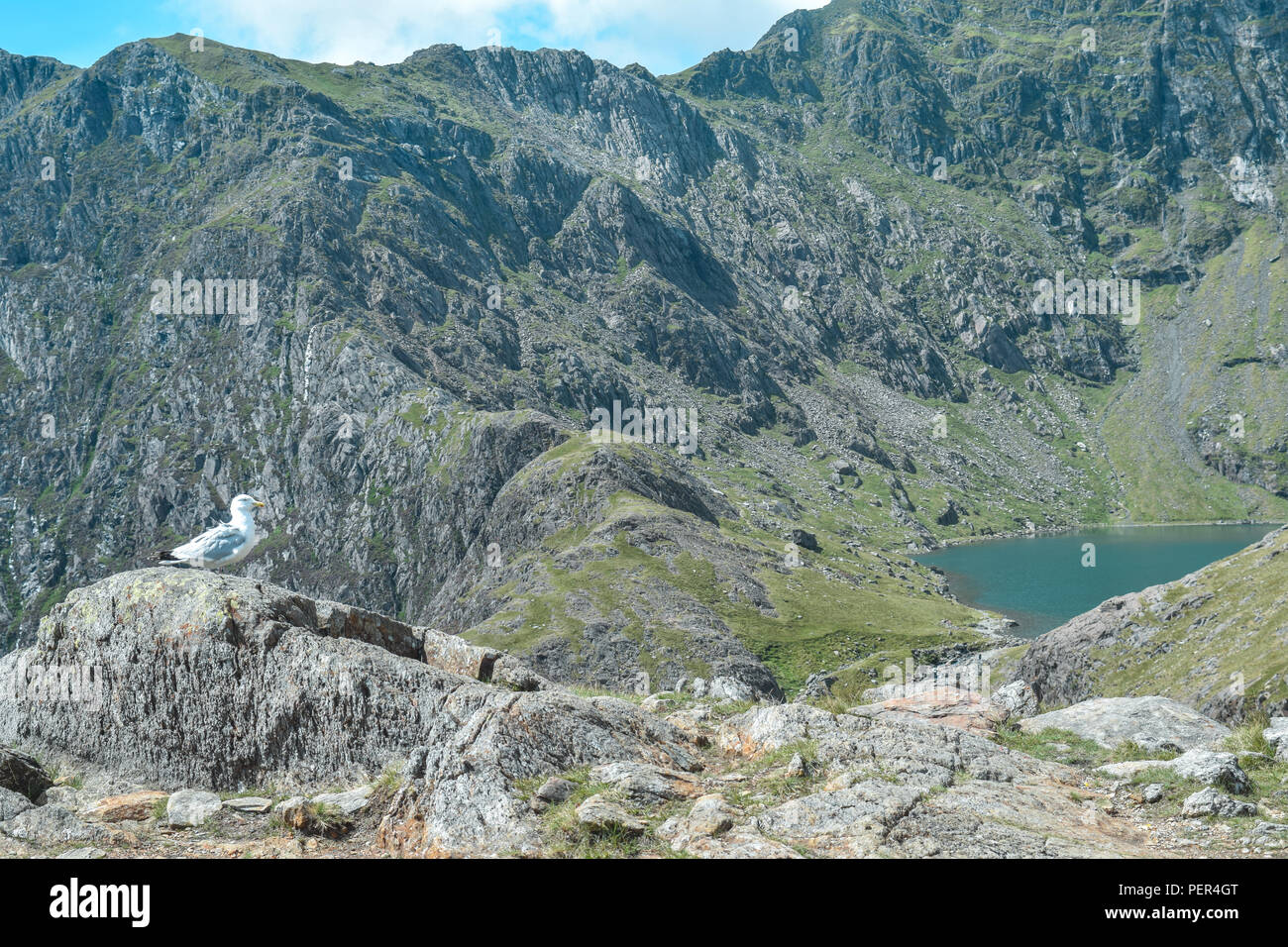 Snowdon Stockfoto