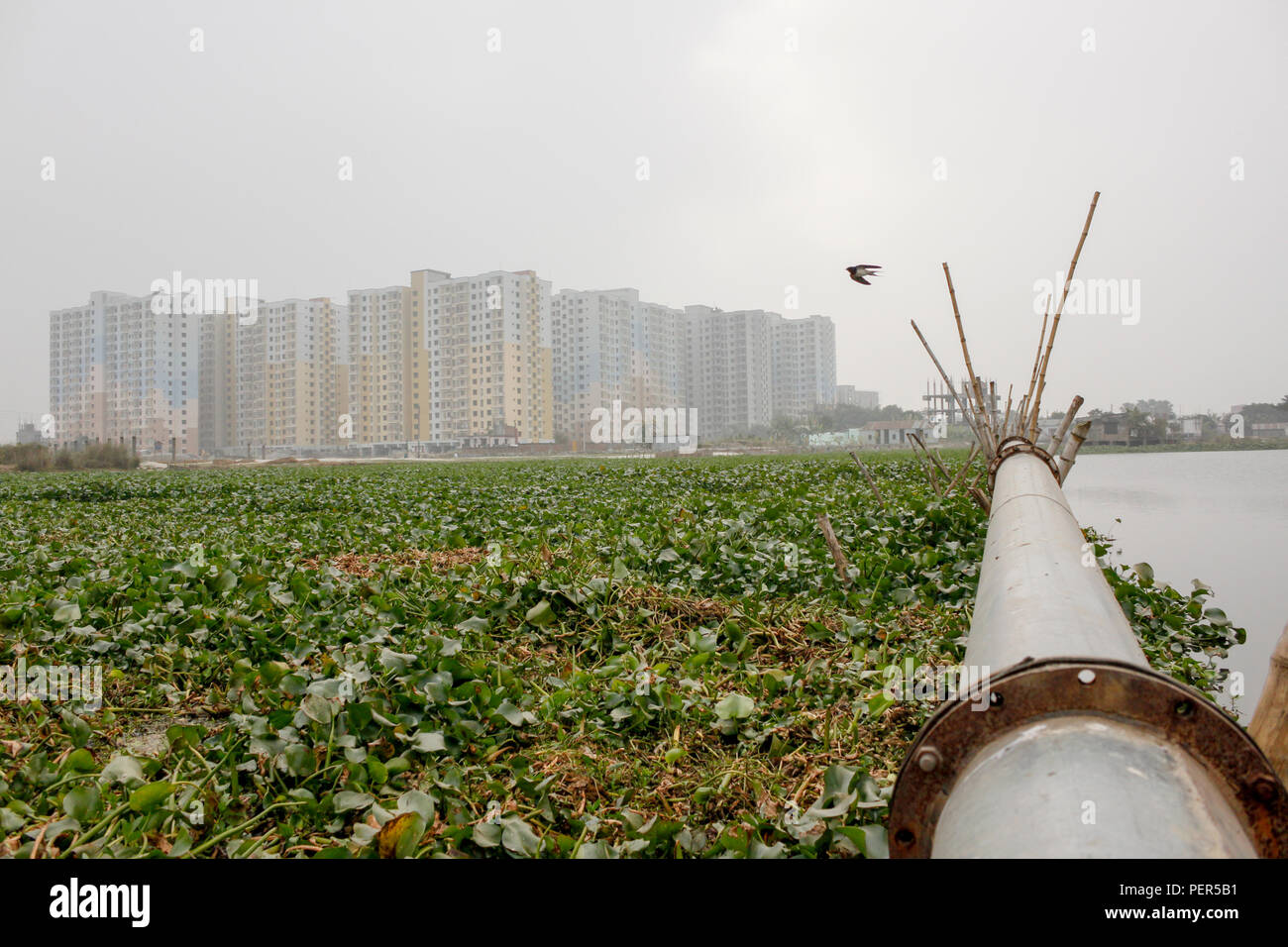 Wintersporturlaub Urbanigation, Dhaka, Bangladesch Stockfoto