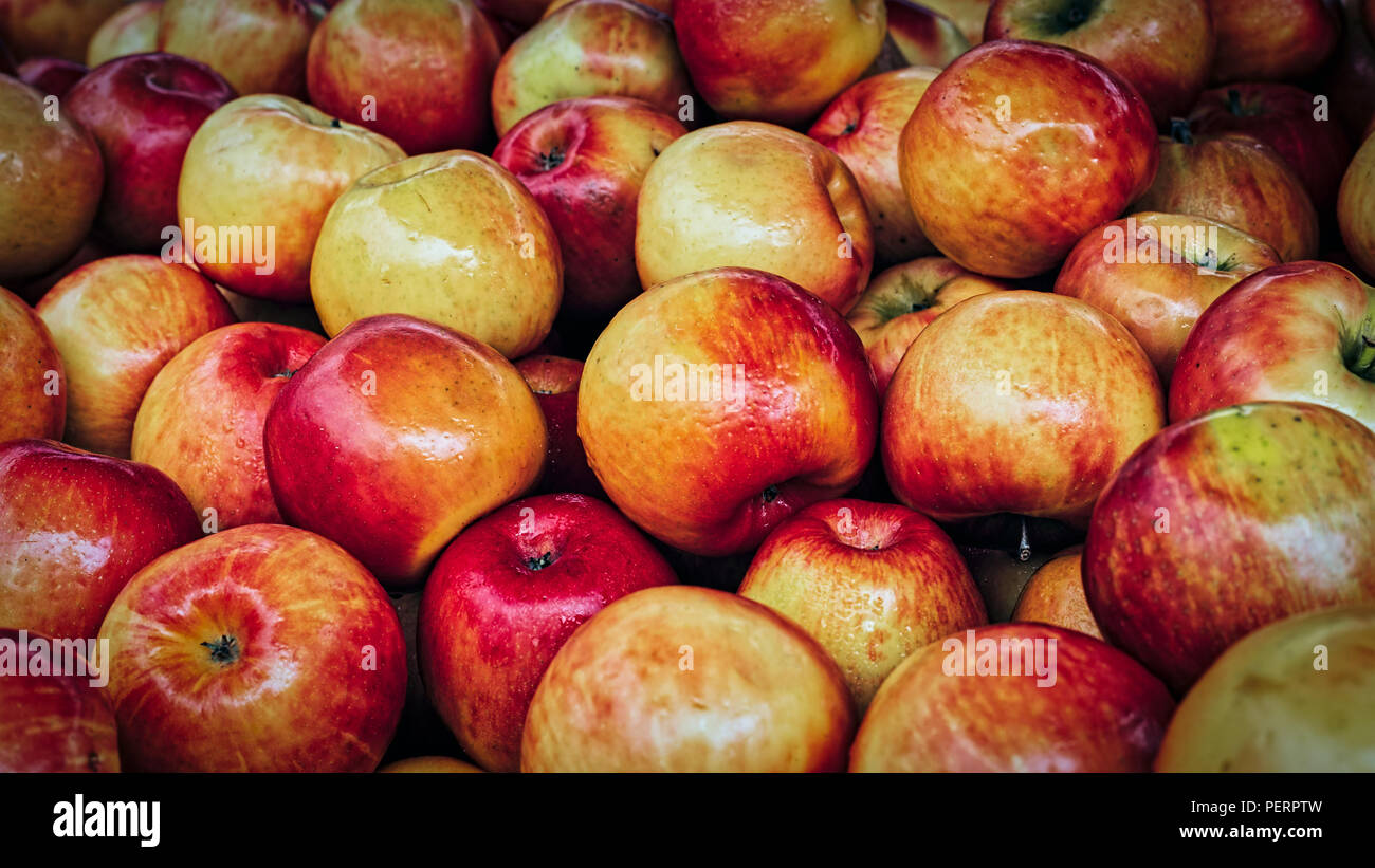Nur rippened Äpfel in Holzkisten bereit zu essen abgeholt. Stockfoto