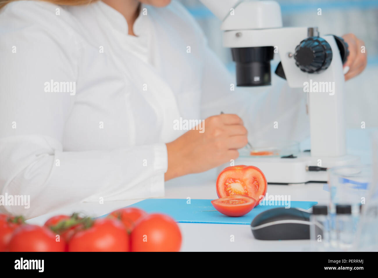 Kontrolle Obst und Gemüse für schädlichen Elementen. Labor für die Überprüfung der Qualität von Lebensmitteln Stockfoto