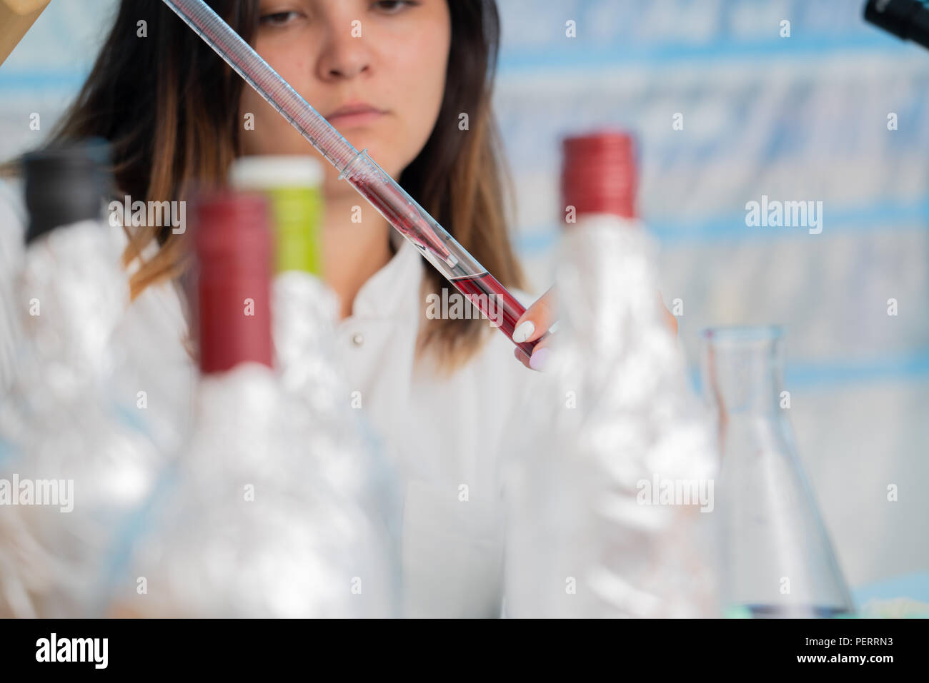 Flasche Wein im Labor für Qualitätskontrolle Stockfoto