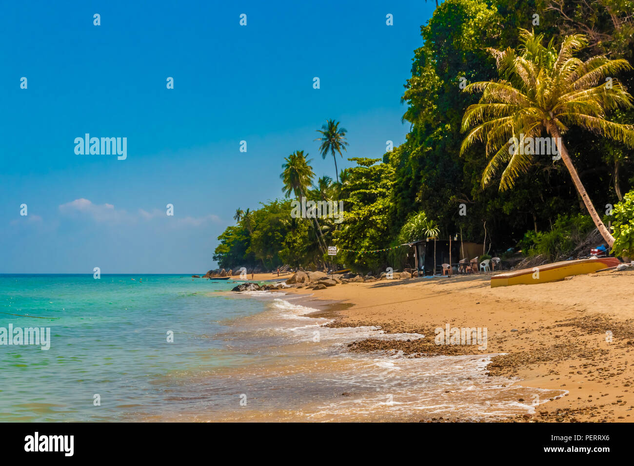 Die schönen, ruhigen Petani Beach mit seinem goldenen Sand, türkisfarbenes Wasser und Palmen an der beliebten Urlaubsziel Perhentian Kecil Insel in ... Stockfoto
