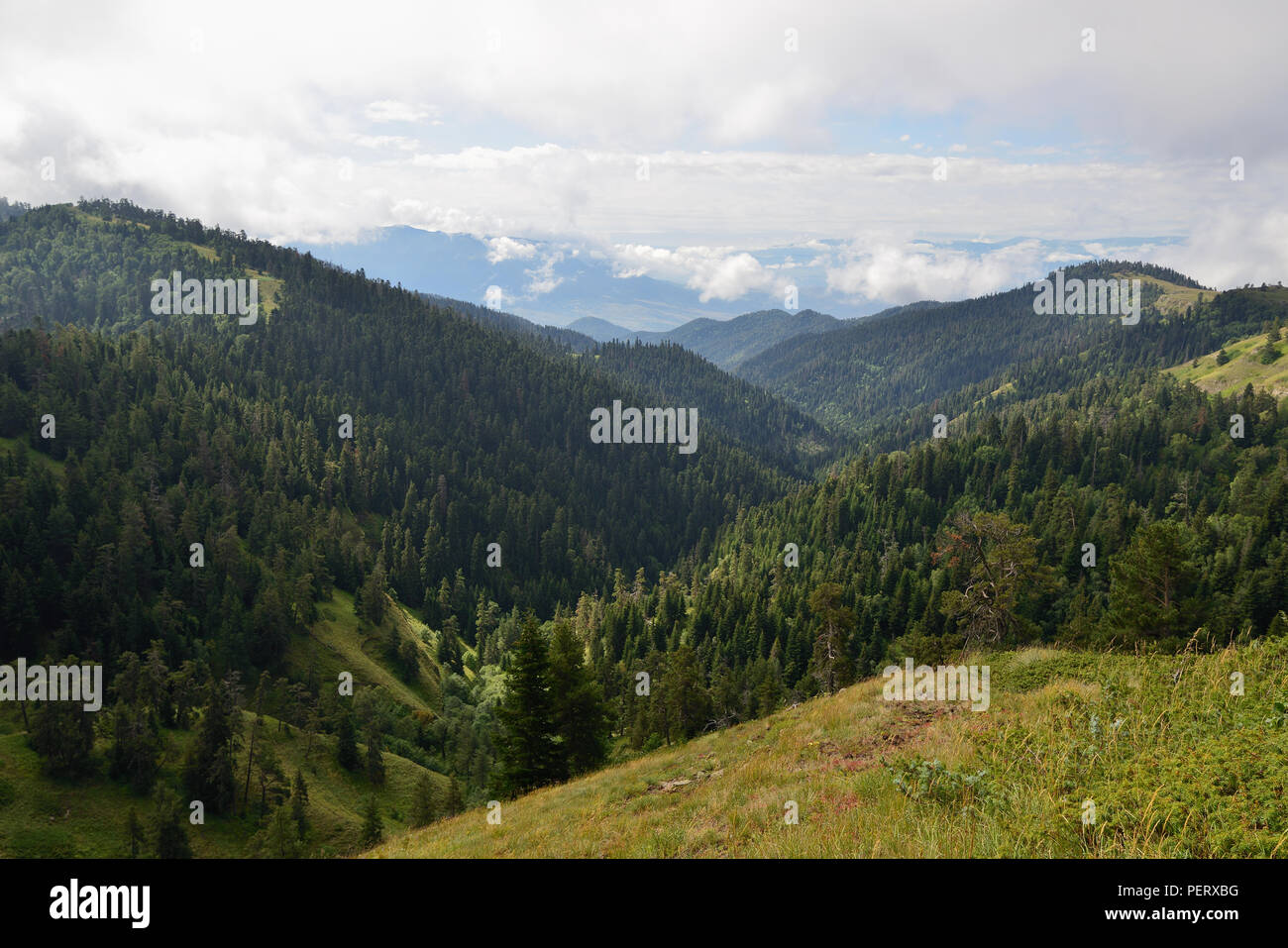 Trekking in den Bergen des Borjomi-Kharagauli Nationalpark in Kleineren Kaukasus. Borjomi, Georgien Stockfoto