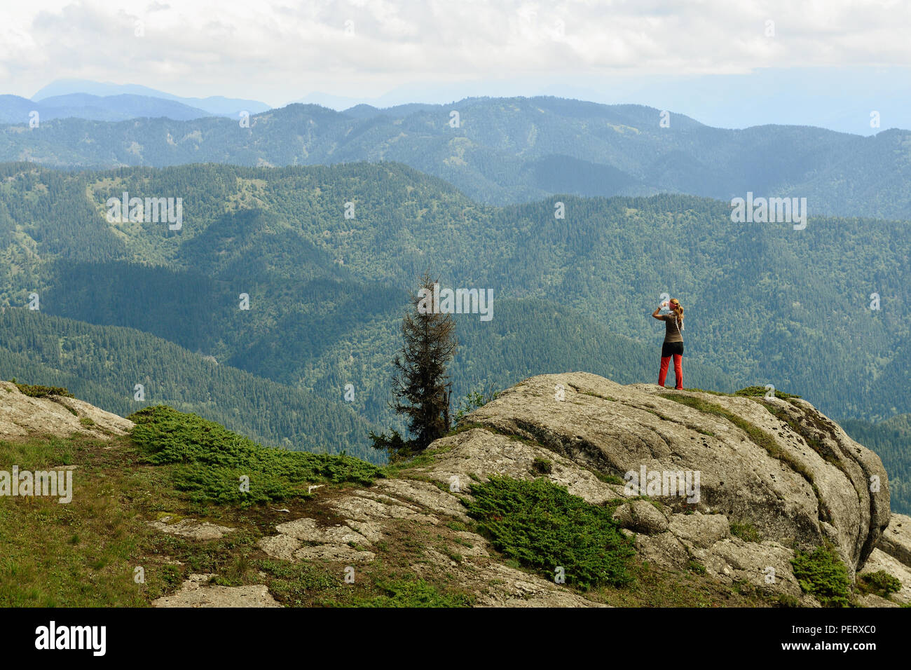 Trekking in den Bergen des Borjomi-Kharagauli Nationalpark in Kleineren Kaukasus. Borjomi, Georgien Stockfoto