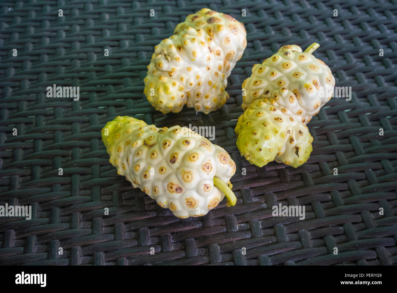 Drei frisch gepflückte Frucht Noni (Morinda citrifolia) auf einem Tisch Stockfoto