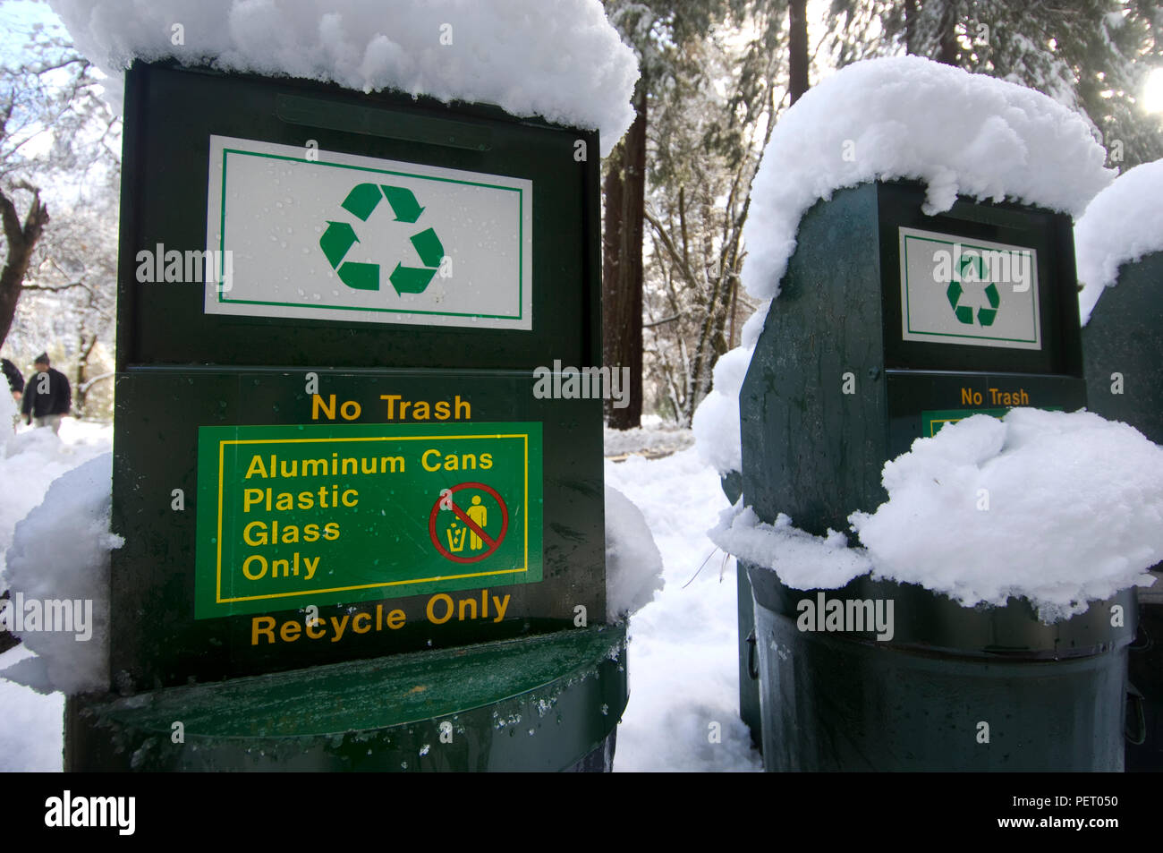 Schneebedeckte recycling Behälter Unterstützung Ökotourismus im Yosemite National Park. Stockfoto