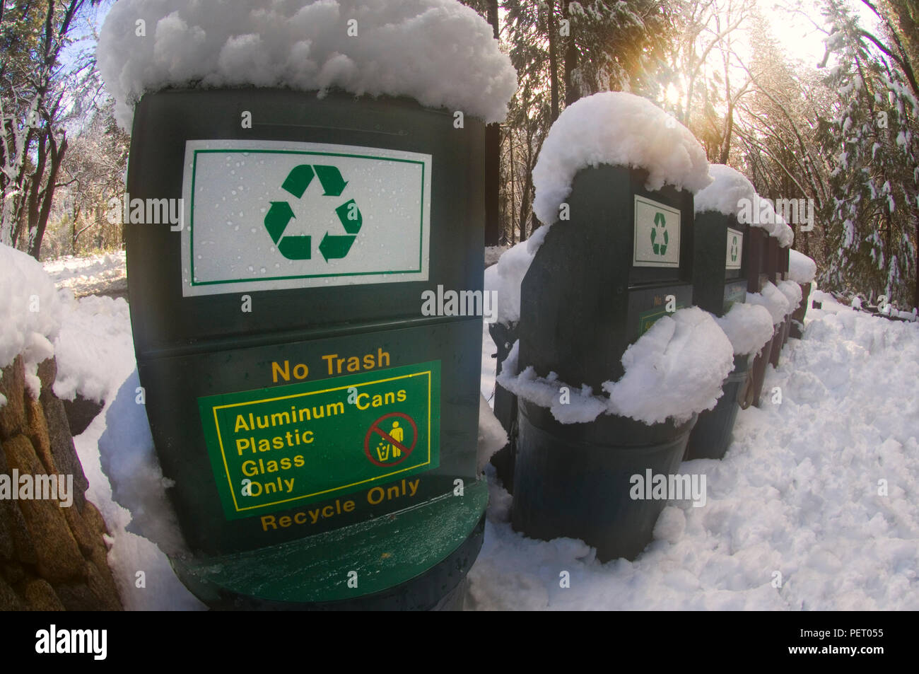 Schneebedeckte recycling Behälter Unterstützung Ökotourismus im Yosemite National Park. Stockfoto