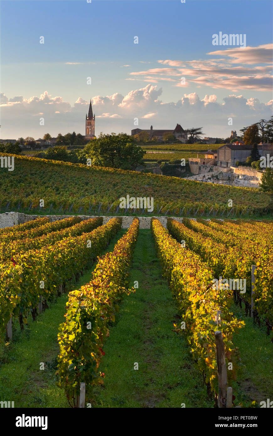 SAINT EMILION BORDEAUX WEINBERG mit Dorf und Kirche Saint Emilion bei Sonnenuntergang, vom Herbstfarbenen Weinberg Chateau Troplong Mondot Gironde Frankreich Stockfoto