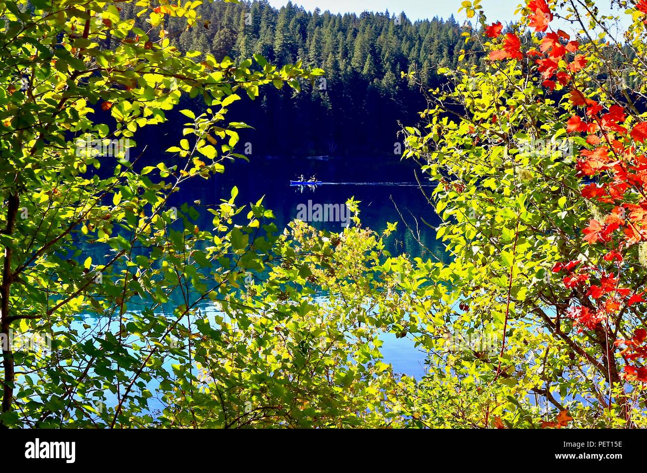 Kanu auf dem See von Herbstlaub und Evergreens gerahmt Stockfoto