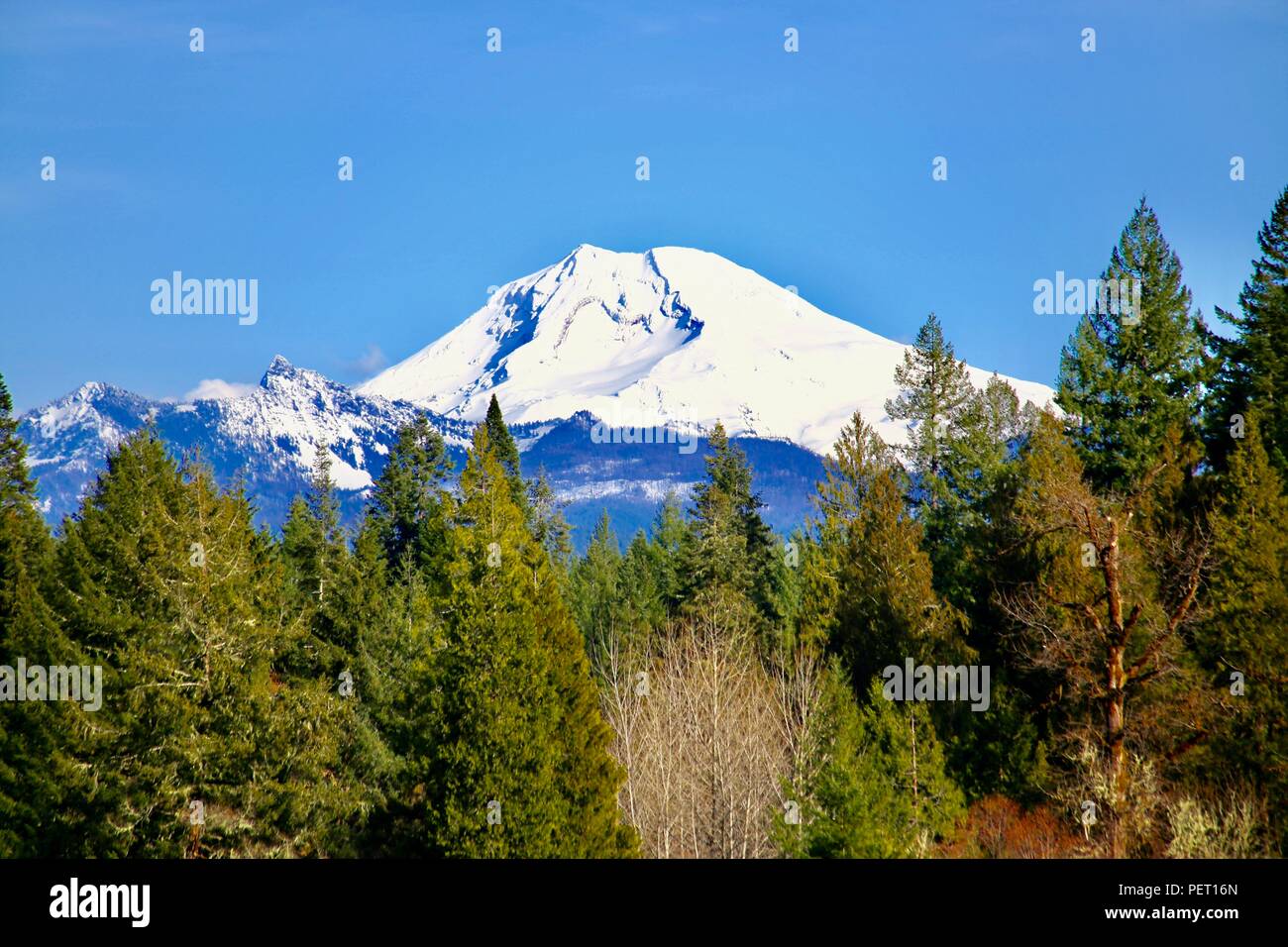Schneebedeckte Berge immergrünen Wald Vordergrund blue sky Diamond Peak oder Stockfoto