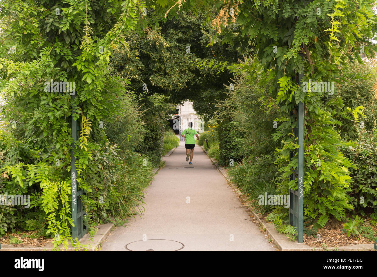 Paris Grün und städtischen Garten - Mann laufen entlang der Promenade plantee erhöhten Park im 12. arrondissement von Paris, Frankreich, Europa. Stockfoto