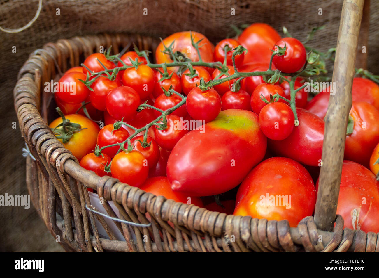 Frische rote Kirsche und Pflaume Tomaten in einem Weidenkorb auf Verkauf in Borough Markt, Southwark, London, UK Stockfoto