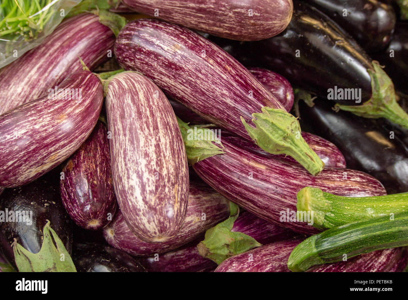Frische Auberginen auf Verkauf in Borough Markt, Southwark, London, UK Stockfoto