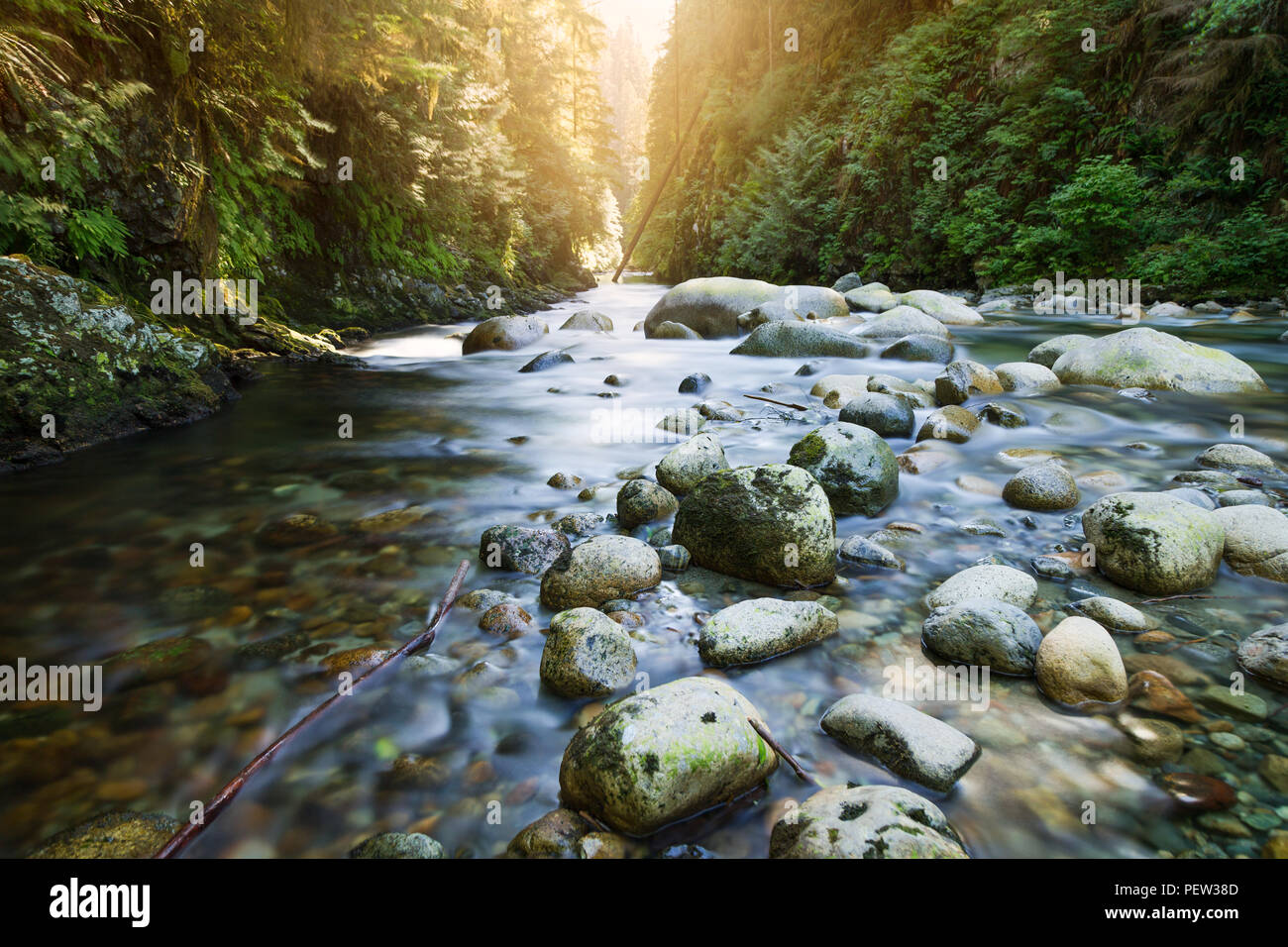 Der Fluss am Lynn Canyon in Nord Vancouver. Stockfoto