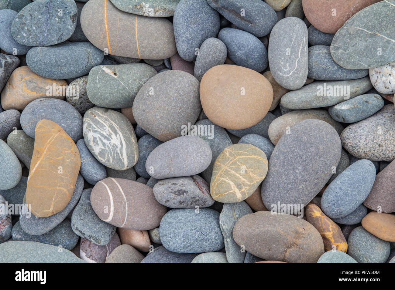 bunte Kieselsteine am Strand Stockfoto