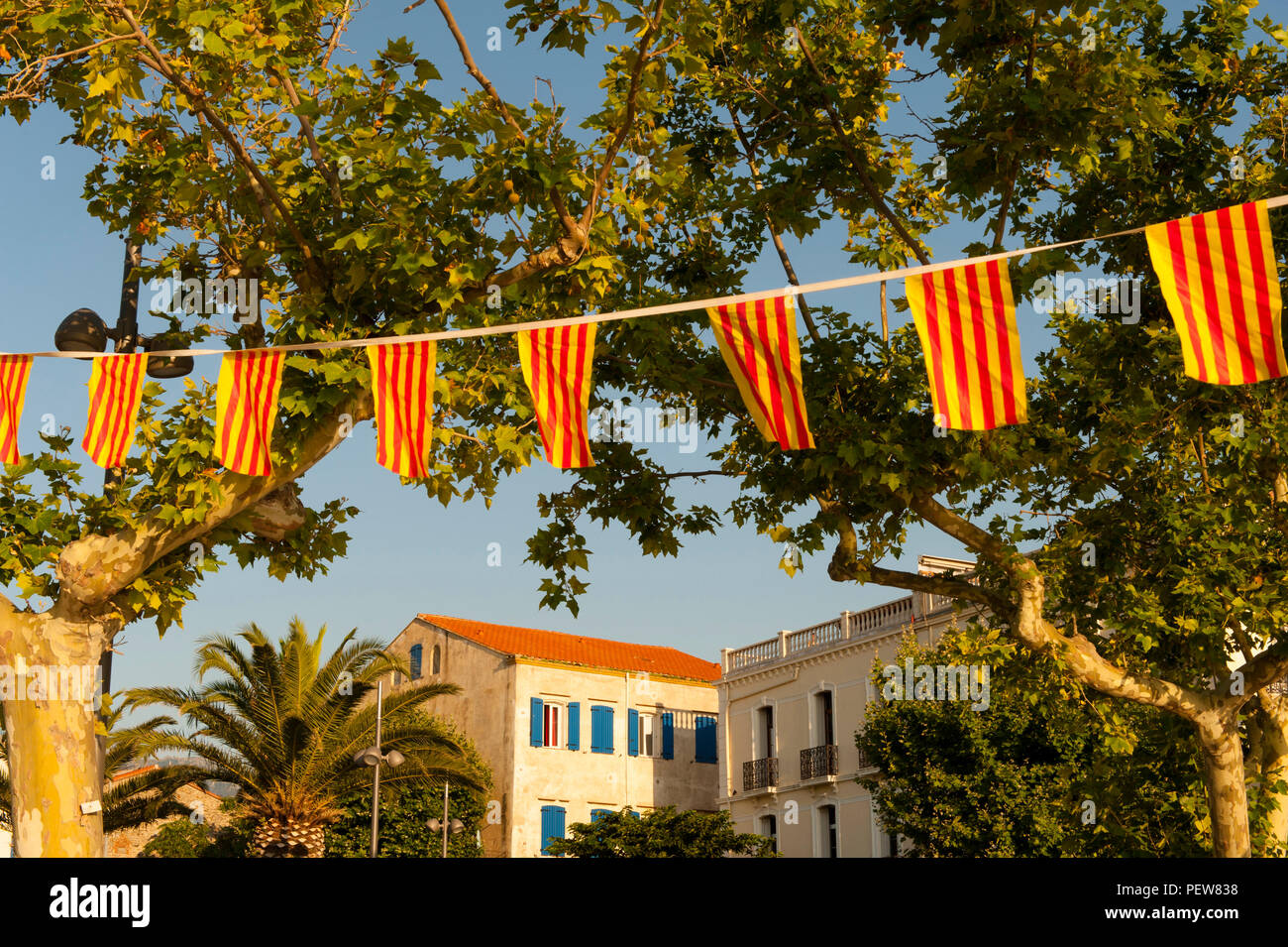Katalanisch Fahnen schwenkten im Wind direkt an der Strandpromenade in Banyuls, Südfrankreich. Stockfoto