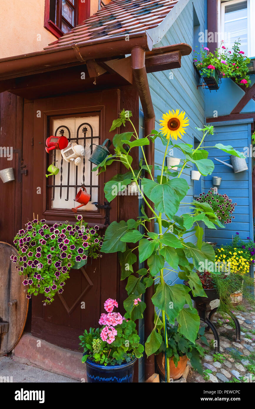 Bunte Straße in Turckheim, Elsass, Frankreich. Stockfoto
