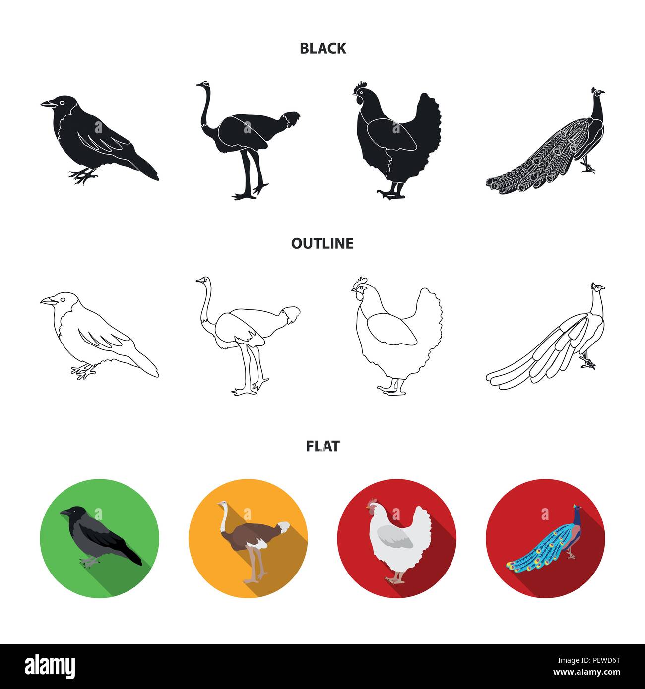Crow, Strauß, Huhn, Pfau. Vögel stellen Sammlung Icons in Schwarz, flach, Outline style Vektor Symbol lieferbar Abbildung. Stock Vektor