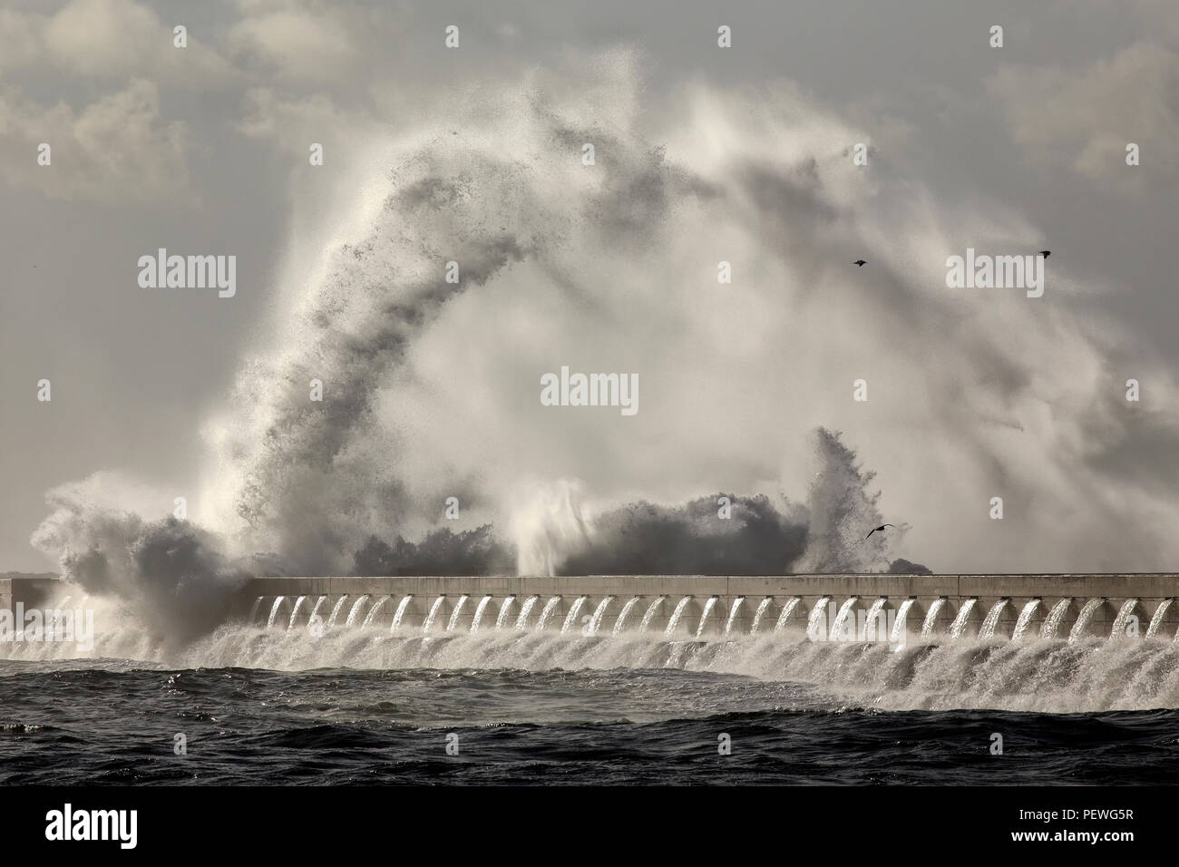 Interessant big Stormy Sea Wave splash und Spray. Douro River Mouth New pier, Porto, Portugal, im Januar. Stockfoto