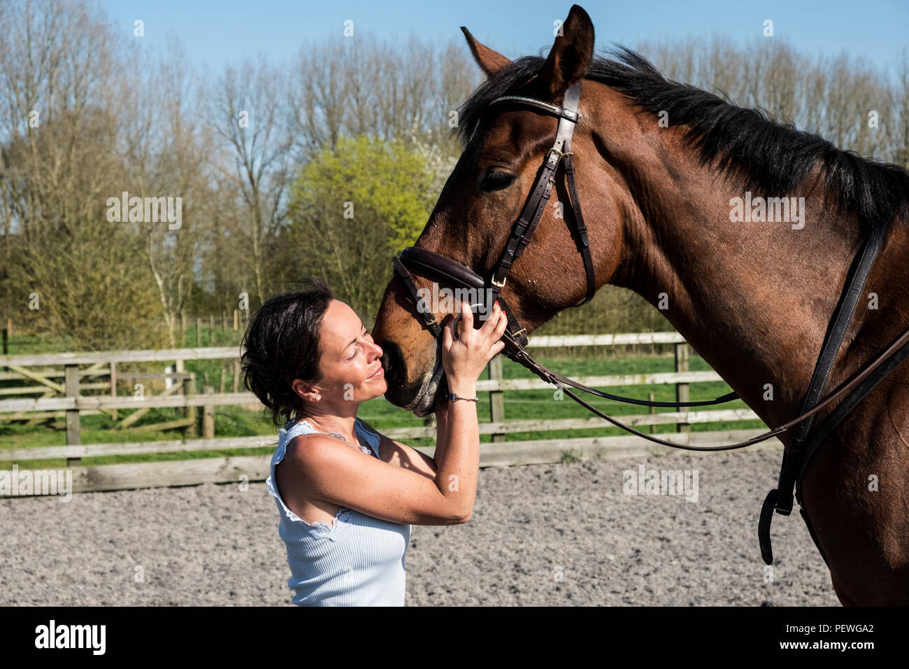 Frau Trainer Pferd in einem paddock, die hielten eine Bucht braunes Pferd durch das zaumzeug Stockfoto